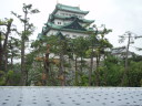 Roof Umbrella